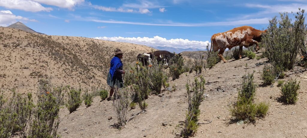 mujer rural