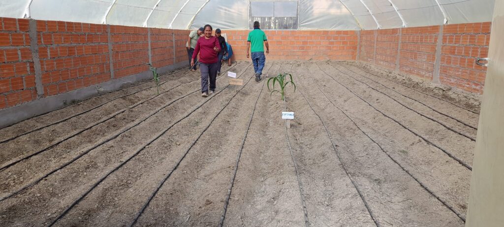 seguridad alimentaria